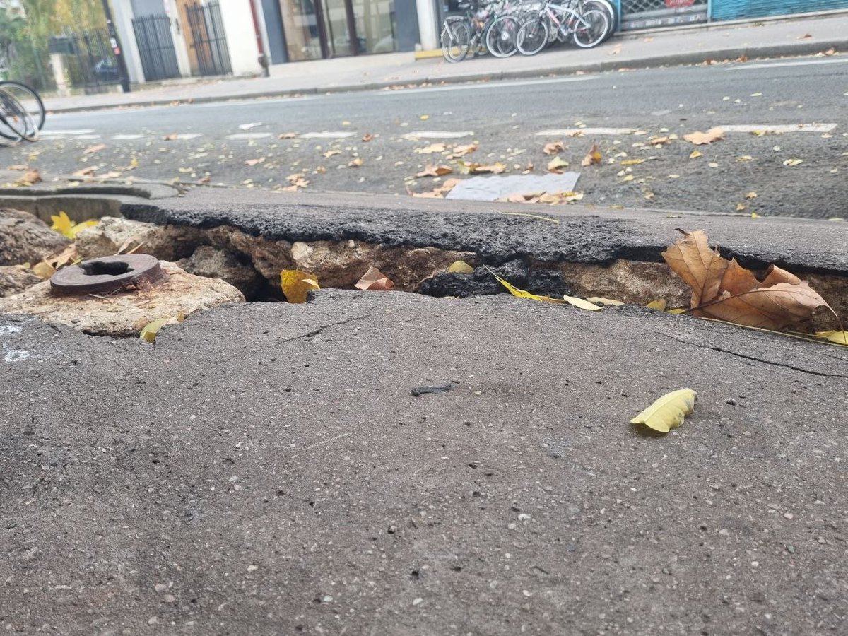 🌳👩‍🦼Le SOPHORA japonais est un des #arbres les plus souvent plantés à #Paris en raison de sa résistance.
Cependant, lorsque ses racines sont piétinées de façon répétée (en cas d'absence de grilles d'arbre, par exemple), il développe alors un cal ligneux à son pied en réaction à