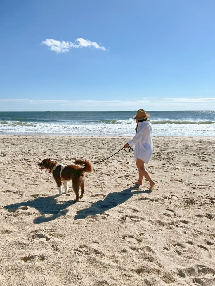 SparkleMist9's tweet image. Caught him in another cute mood
#PuppyMood #PetScenes #DogContent