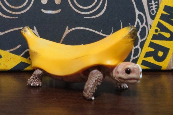 turtleyokai's tweet image. デザフェスお迎え品
⭐︎gruezi labさんのバナナタートル

ノーマークでしたが一目惚れし購入。
片方はリアルなバナナにカメ、もう片方はその中身。
めちゃくちゃ可愛いです🫰