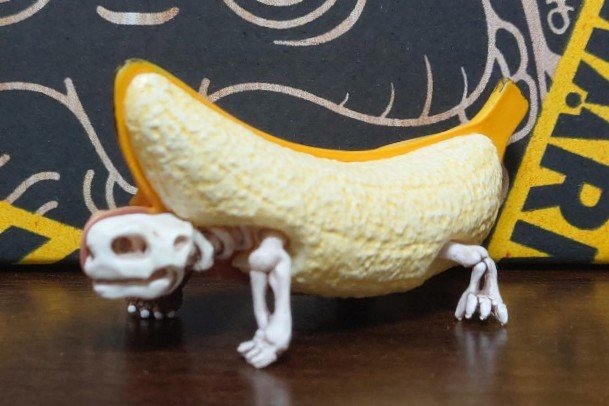 turtleyokai's tweet image. デザフェスお迎え品
⭐︎gruezi labさんのバナナタートル

ノーマークでしたが一目惚れし購入。
片方はリアルなバナナにカメ、もう片方はその中身。
めちゃくちゃ可愛いです🫰