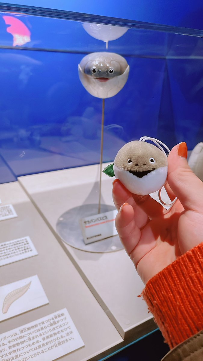 サカバンバスピス