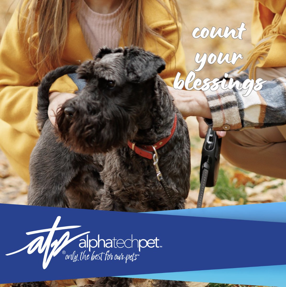 AlphaTechPetInc's tweet image. This month, we’re counting our blessings,and furry friends top the list! Share the love and appreciation for your pets. #ThankfulForPets #FurryFamily #GratefulTails