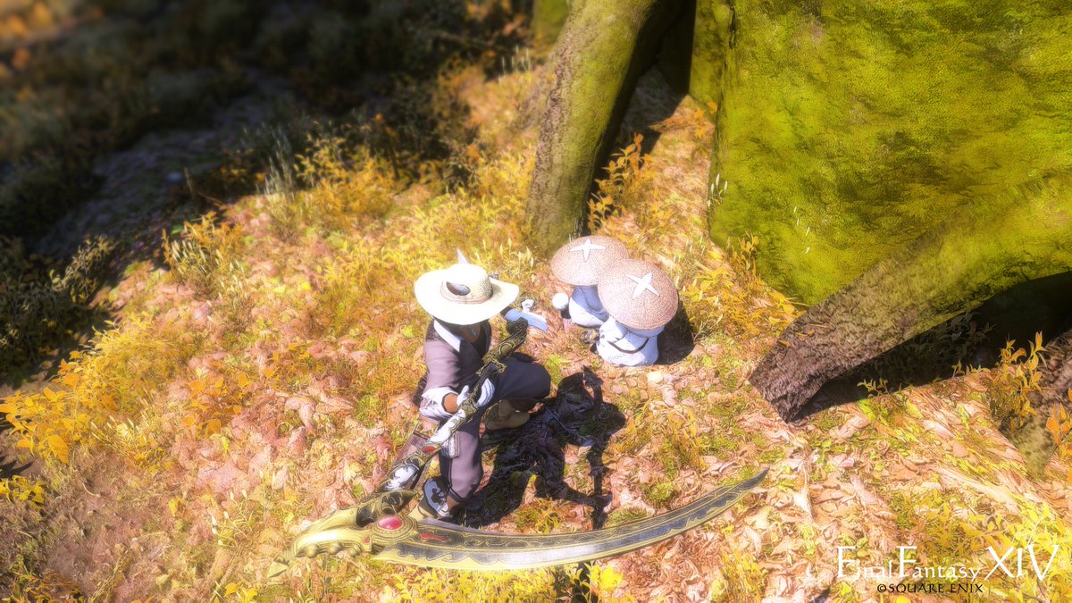 あとから合流ということもあって、みんなより圧倒的に練習時間が短い。。
けど固定4時間で追撃見れて、その後の野良30分で乱撃まで見れた！！！
こりゃもうクリ目に近いか！？！？

とまあそんなこんなで秋の季節〜