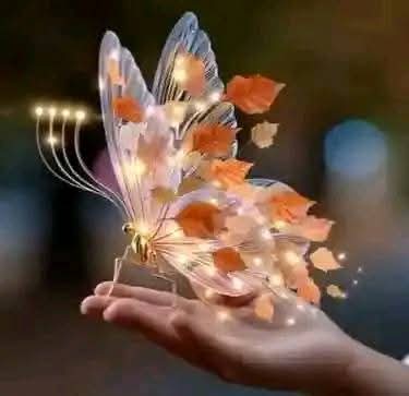 क्यों करते हो तुम किसी के किरदार पर बातें,
तुम क्या ज़न्नत से आये हो😏