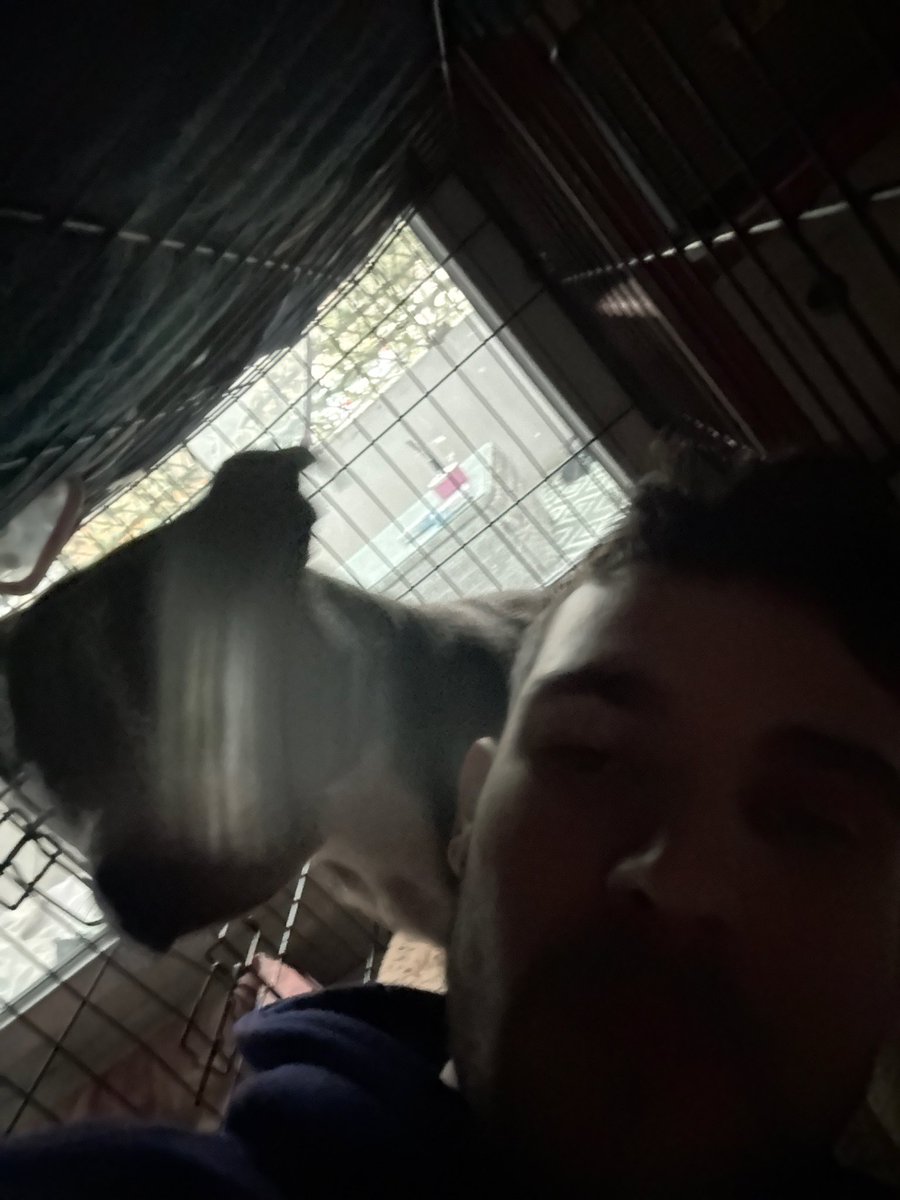 I'M IN THE DOGHOUSE SAVE ME !!!

 2x25$ GIVEAWAY AT THE END (RT+FOLLOW NEEDED)
 
GIVING AWAY SOME MORE JUICE IF I WIN
KICK.COM/ROBERTGAMBA

BREATHER NEEDED !!! 😡😡

ℹ️ EVERYONE CAN ENTER FOR FREE