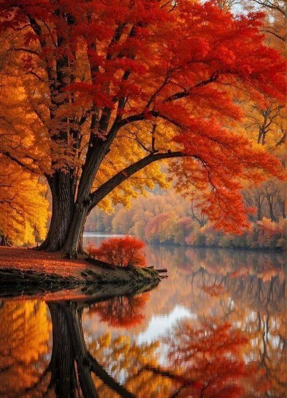 #Citation "L'automne est un deuxième printemps, lorsque chaque feuille est une fleur." - Albert Camus