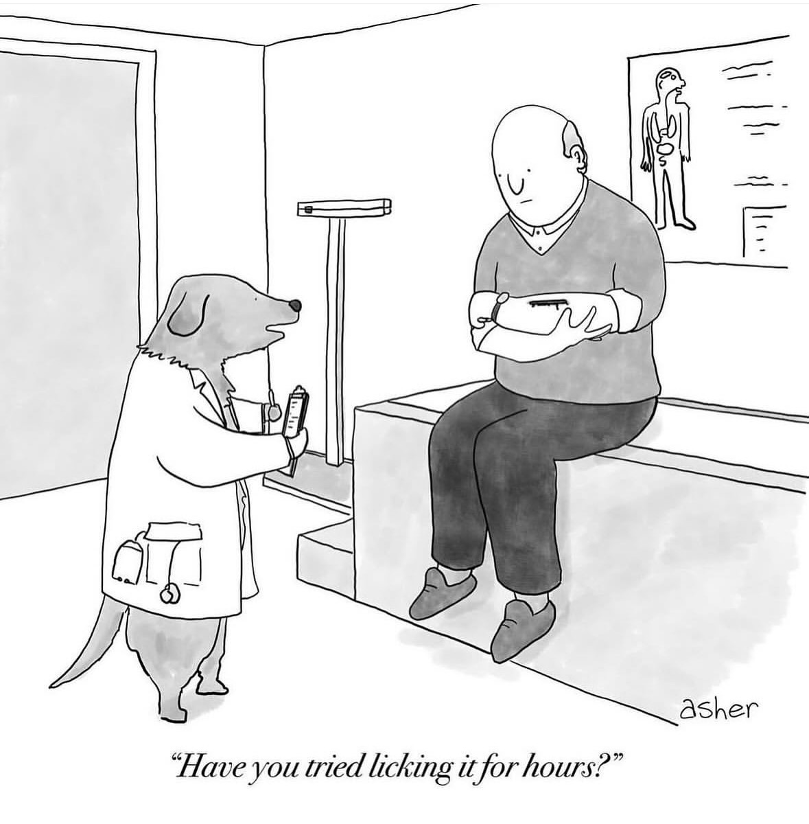 Asher Perlman (@asherperlman) on Twitter photo 