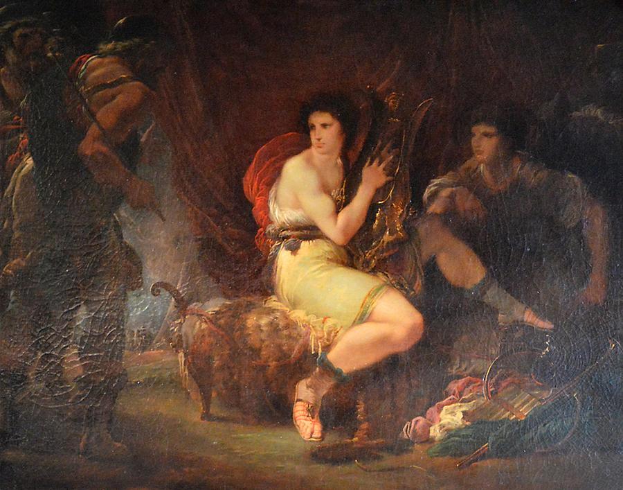 Daily Odysseus — 🏹 tweet media