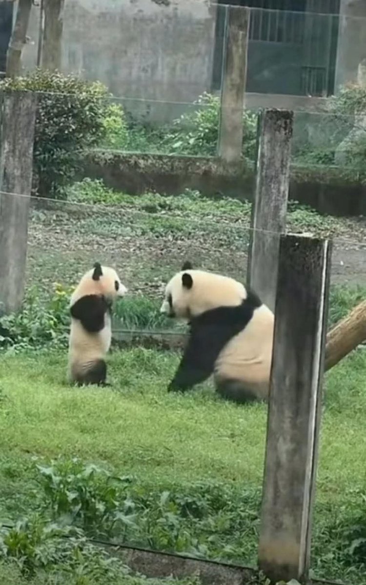 Kate (@kate68_102) on Twitter photo 