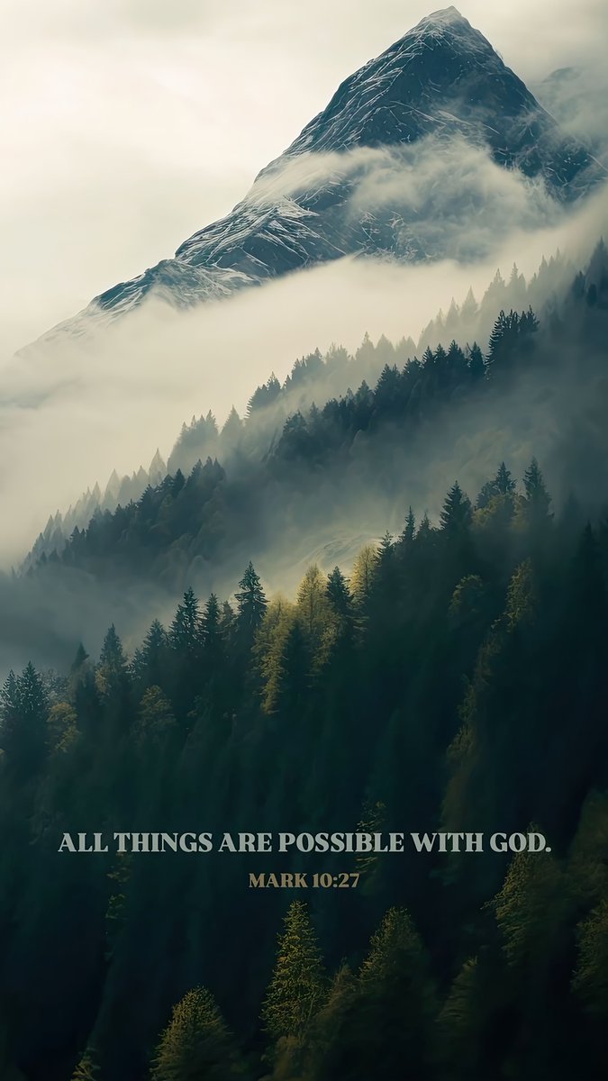 Aestheticswallz's tweet image. 