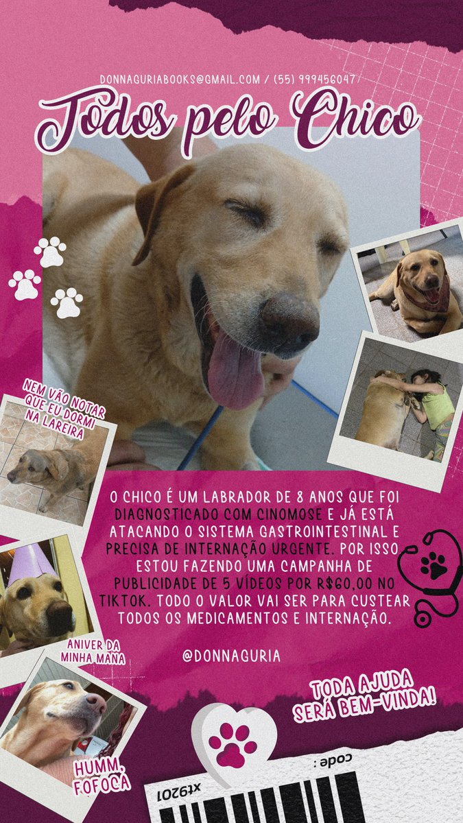 donnaguriaofi's tweet photo. Algumas meninas me pediram banner pra ajudar a divulgar 🙏🏻🙏🏻 obrigada a todo mundo que tá ajudando a divulgar ou fechando a publicidade! Nunca vou conseguir colocar em palavras a gratidão da minha família https://t.co/O3Tkp78aS7