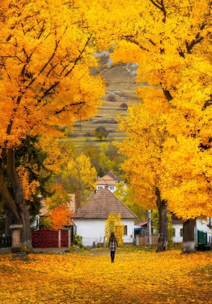 Hadrian Aelius Publius ♌,エイドリアン (@leuljo) on Twitter photo 