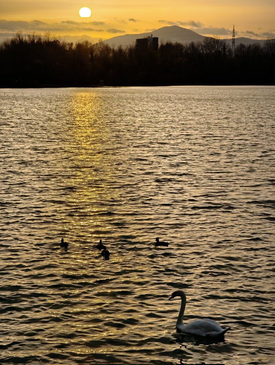 MsBlazic's tweet image. #šetnja