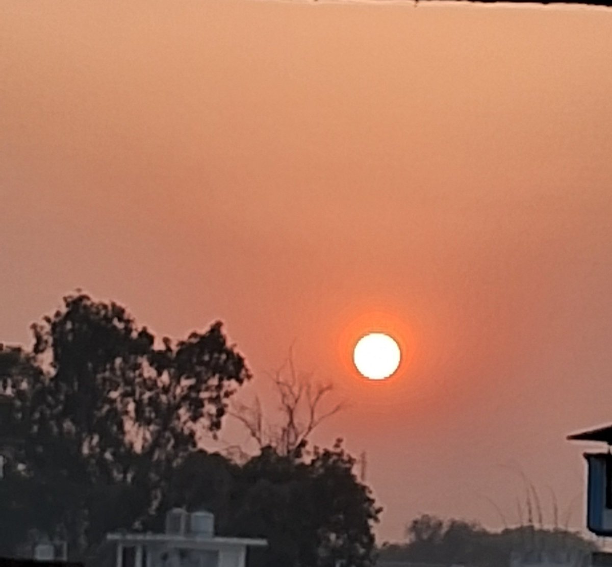 Trivedi_Tweets's tweet image. 🌞 ☀️