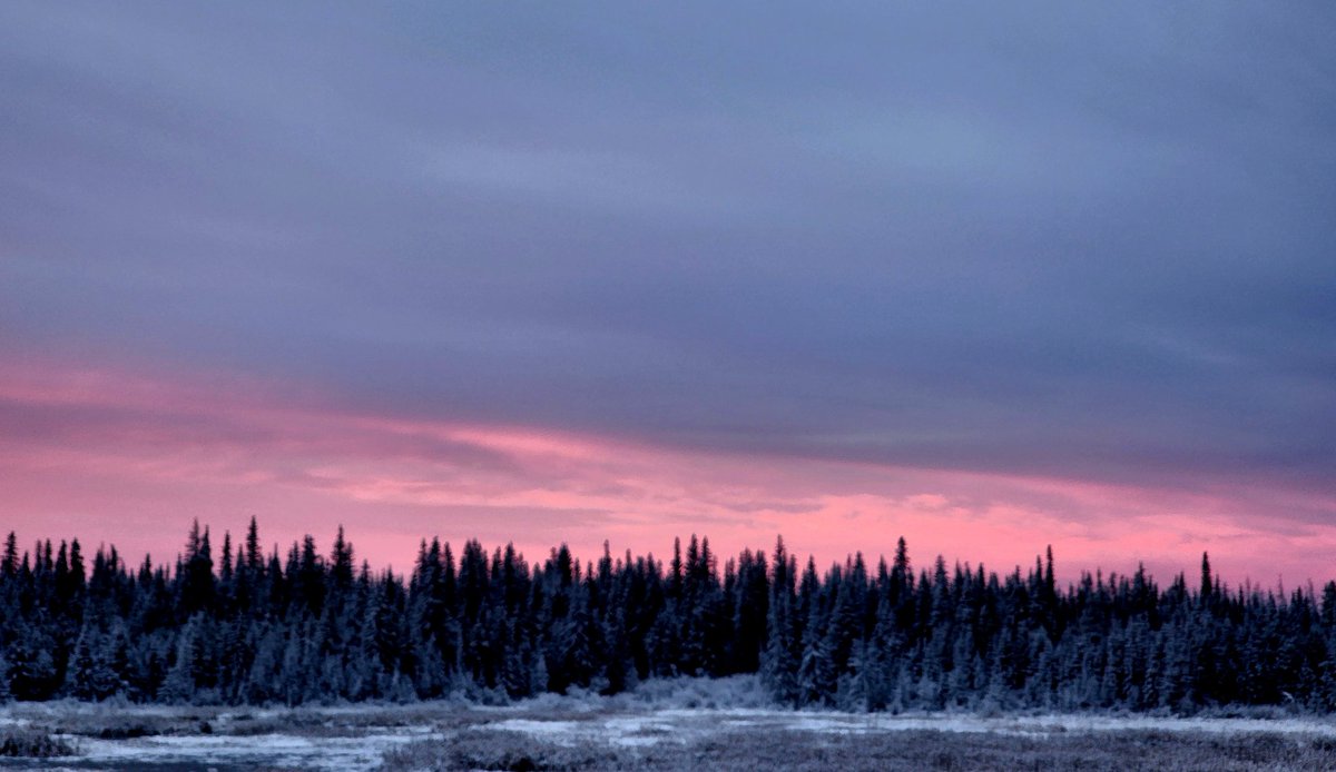 chasing memories in shadows