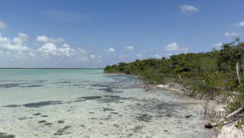 Dennis Kay II tweet media