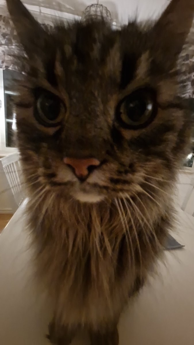 LostFish's tweet image. What if I start playing League of Legends again