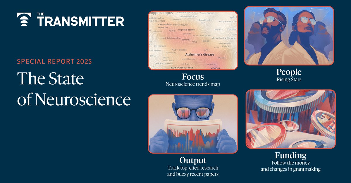 _TheTransmitter's tweet image. The Transmitter @_TheTransmitter presents a portrait of the state of neuroscience in 2025 through four lenses: its focus, its output, its people and its funding. Each view features analyses of major trends and more. Explore the end of year report: thetransmitter.org/state-of-neuro…