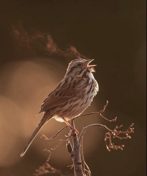 ما أضعفَ الإنسان تؤذيه كلمة..