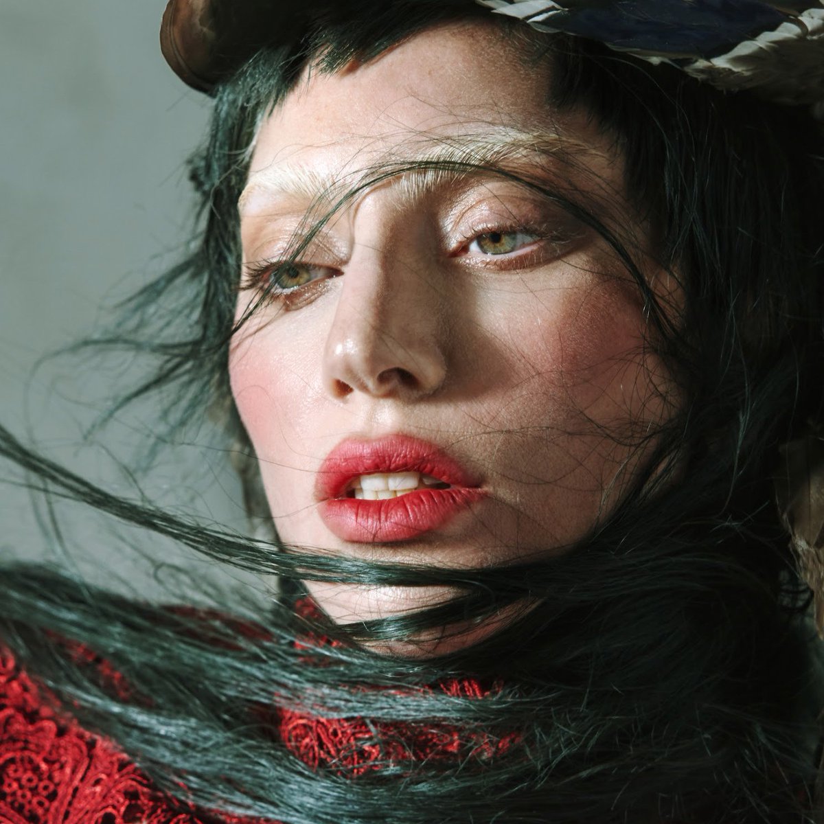 Lady Gaga's Most Streamed Songs Daily (11/14)

#1 Die With A Smile — 3,243,079 
#2 Poker Face — 1,488,298
#3 Just Dance — 1,359,864
#4 Bad Romance — 1,116,699
#5 Abracadabra — 1,072,722
#6 Always Remember Us This Way — 1,043,811
#7 Shallow — 954,758
#8 Judas — 951,082