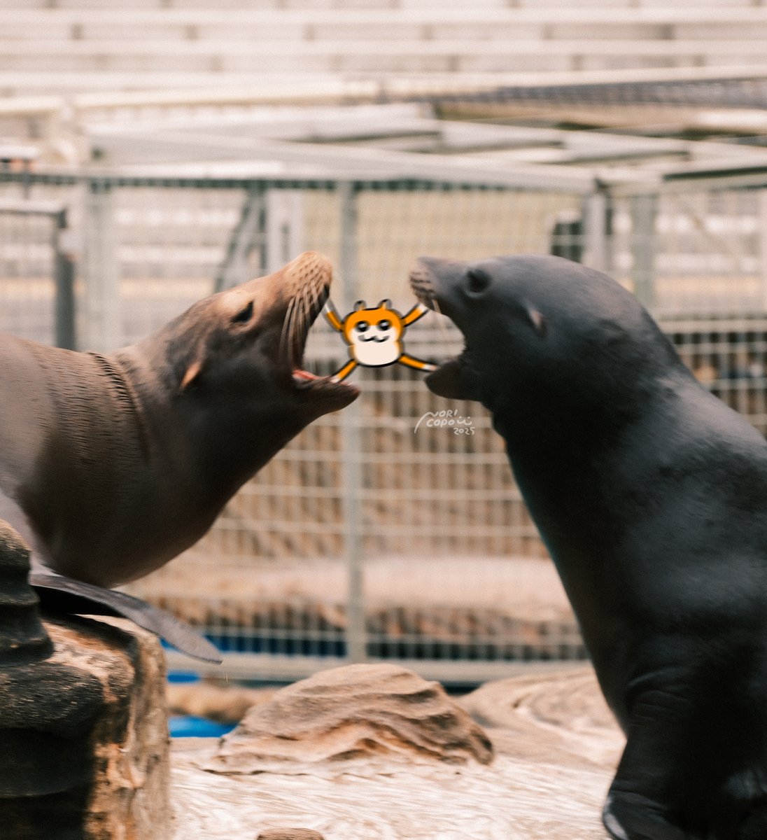 Post by クソハムちゃん【公式】 on X: たちゅけて