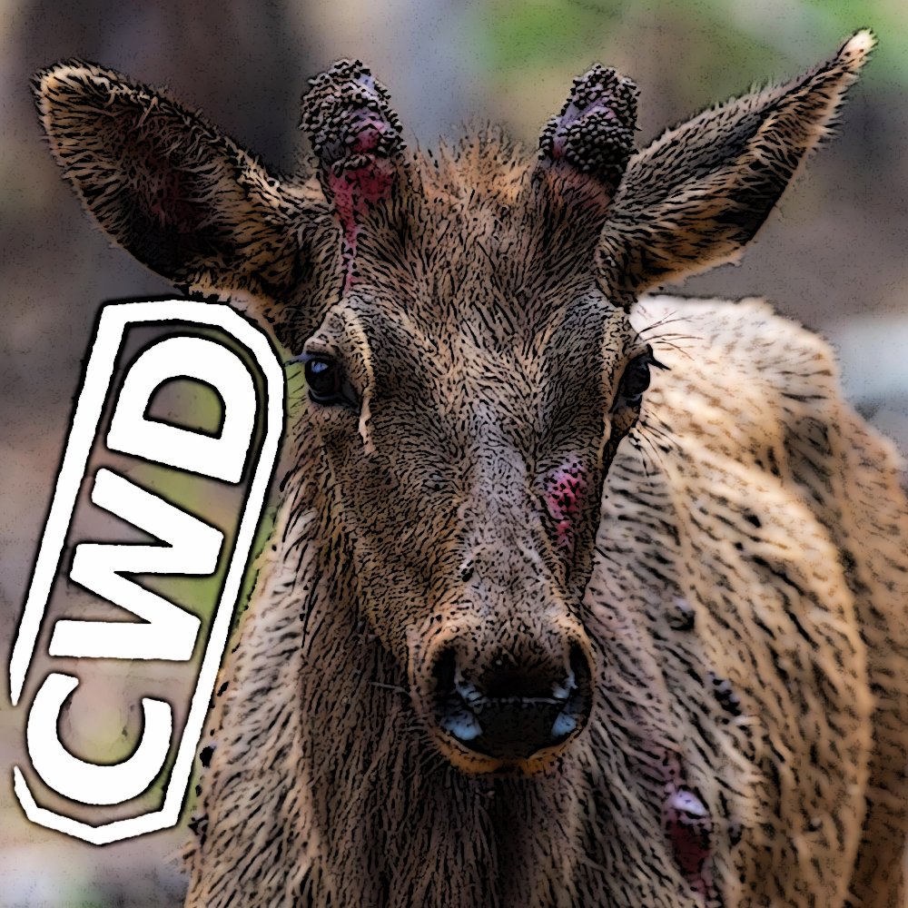 MonkeyHerpes25b's tweet image. PSR: CWD

#ChronicWastingDisease #Space #SamAltman #AI #Motels #HotTubs #boblimptock #seaflow #HollowMen #TSEliot

Rumble: rumble.com/v71r1a8-cwd.ht…

Spotify: open.spotify.com/episode/2UsAHg…

MP3: planetarystatusreport.com/mp3/20251115_C…

Notes: planetarystatusreport.com/?p=23853

Donate: paypal.com/paypalme/docto…