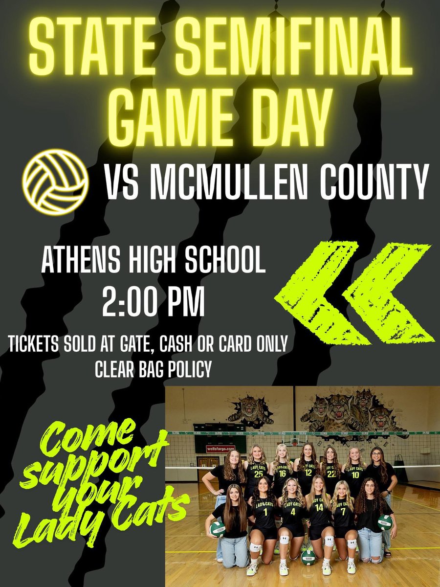 Haley Scott Volleyball tweet media