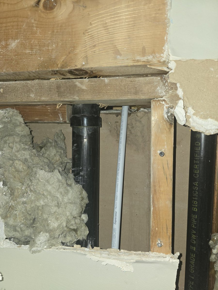 Leaping Larry tweet media