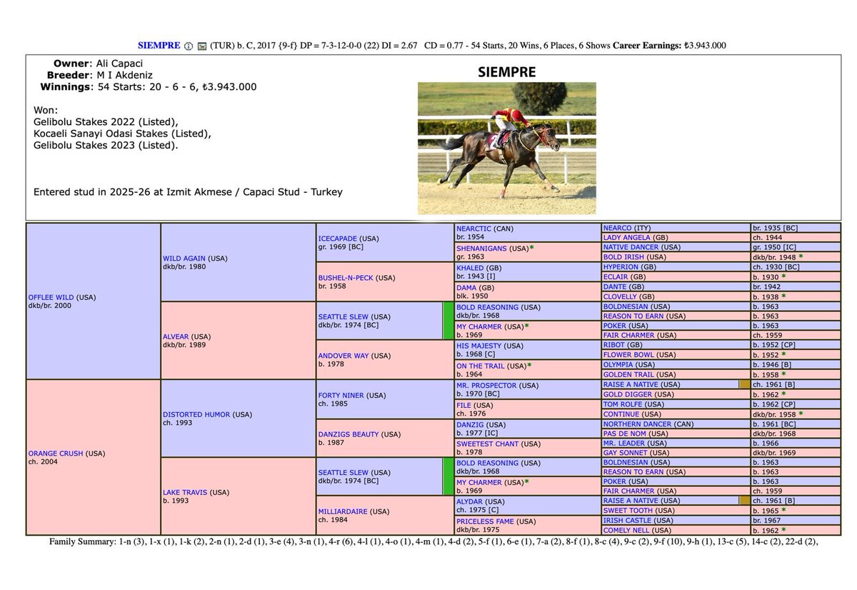 Capaci Stud 🇹🇷 tweet media