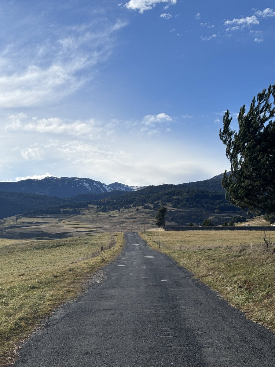 q_u_i_m_'s tweet image. Puigbalador, comarca del Capcir.
Catalunya Nord.