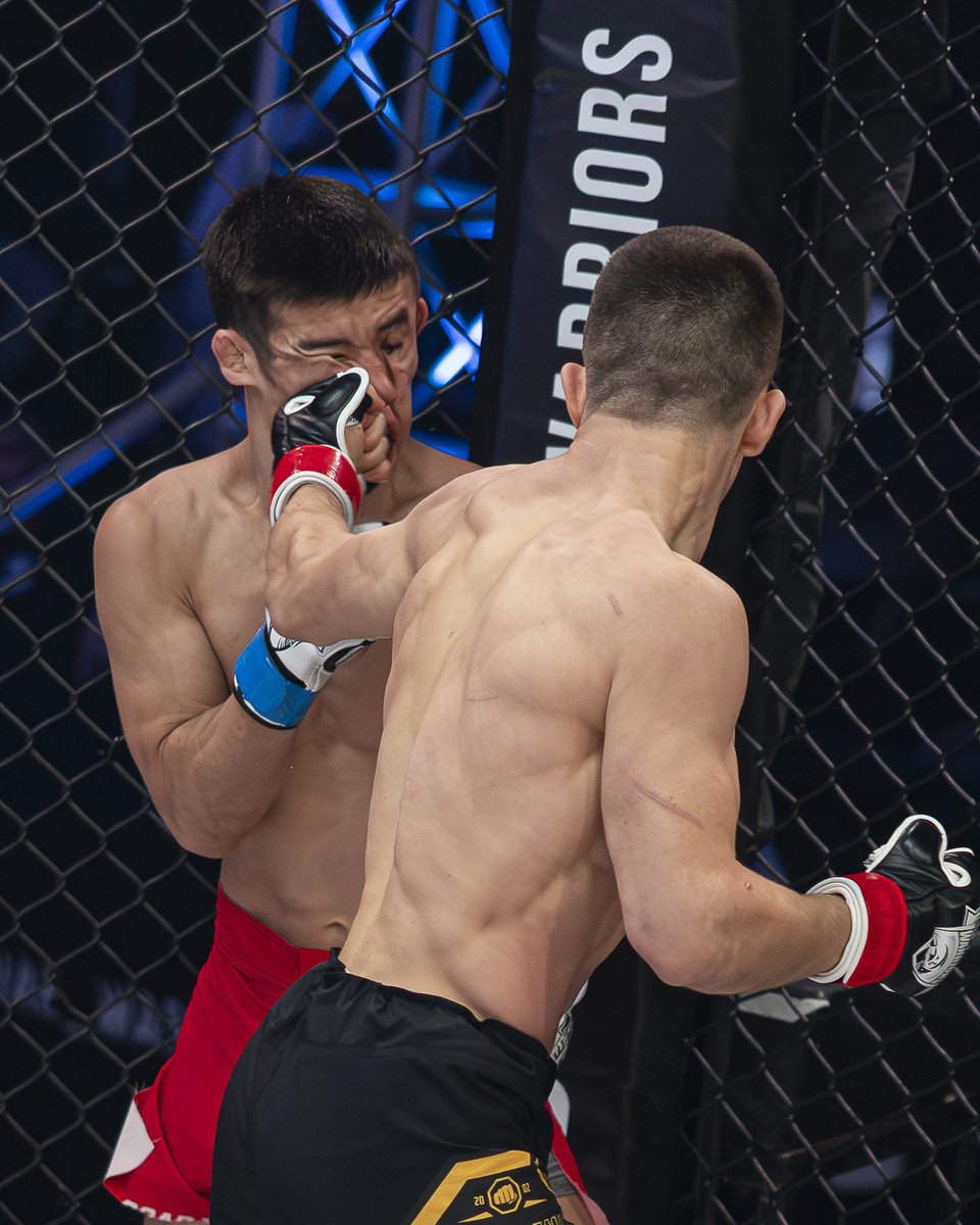 uae_warriors's tweet photo. What a knockout! Pavel Andrusca proves once again heβs a force of nature inside the cage. π
#UAEWarriors #UAEW65 #inAlAin https://t.co/ulzbtKGCXG