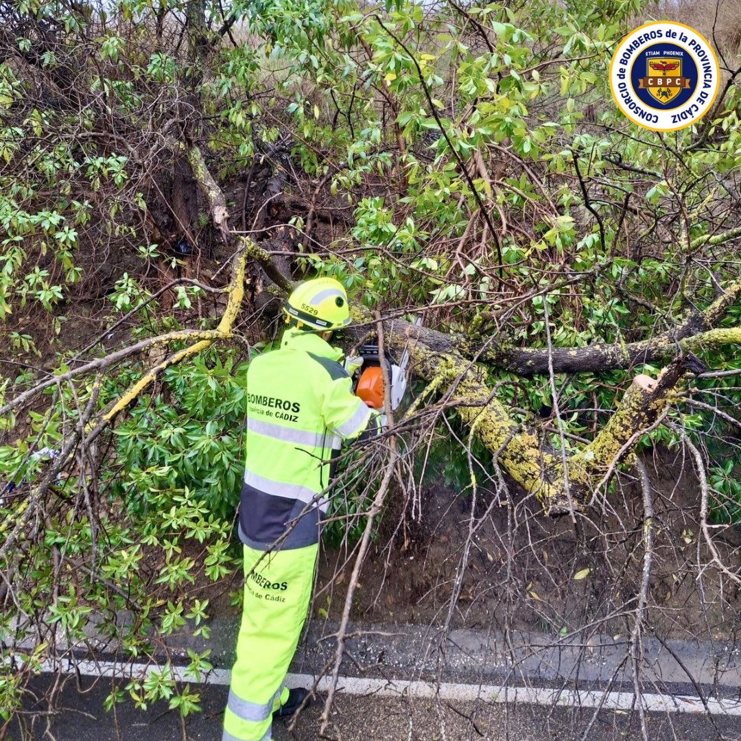 Efectivos del #CBPC retiran ramas de árbol caídas por el viento

Camino del Petirrojo en #Chiclana
Ramas obstaculizando la entrada de una vivienda
🚒2 vehículos y🧑🏼‍🚒4 efectivos

C/Puerta de Jerez en #Medina
Ramas obstaculizando la vía pública
🚒2 vehículos y🧑🏼‍🚒3 efectivos