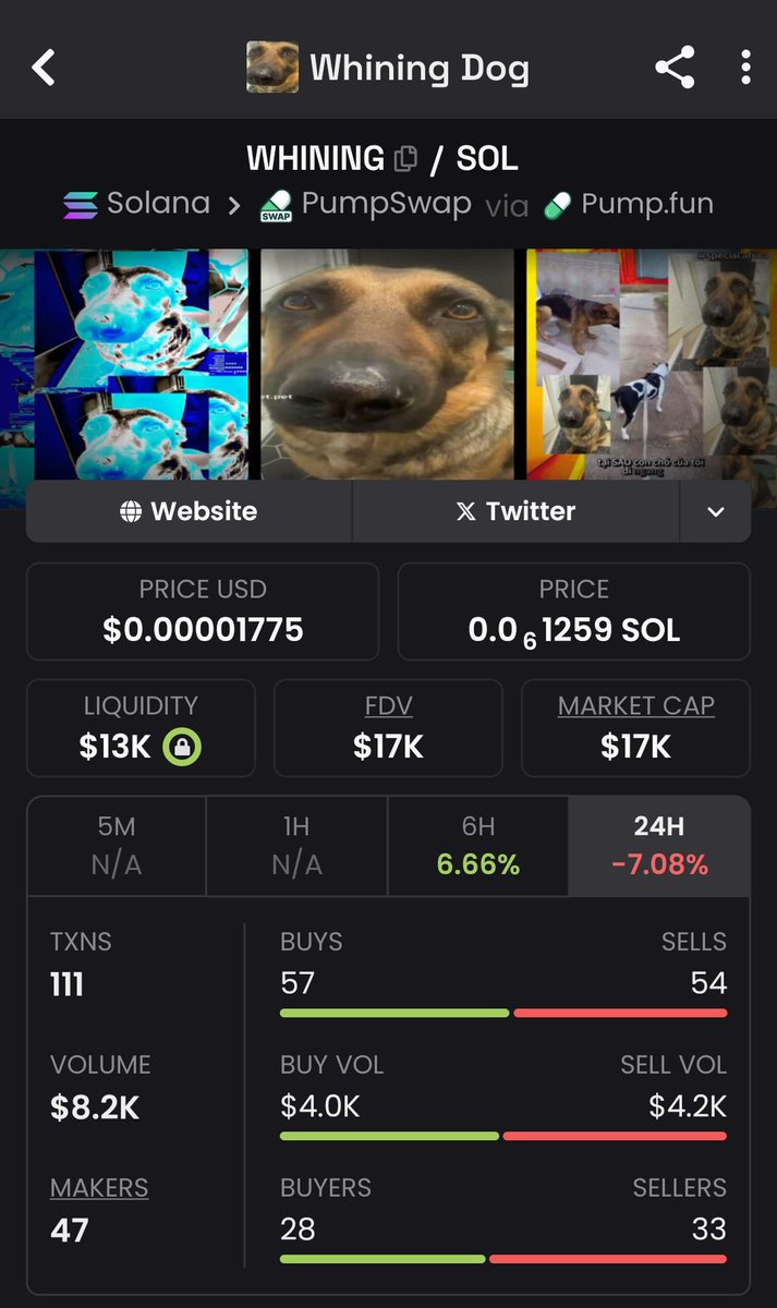 Whining dog is going viral on tiktok and instagram since the past weeks and is probably the only decent brainrot meme to come in a while (after 67)

And the coin is sitting at 17k lol

If this was 2024, this would have been at 100M + by now