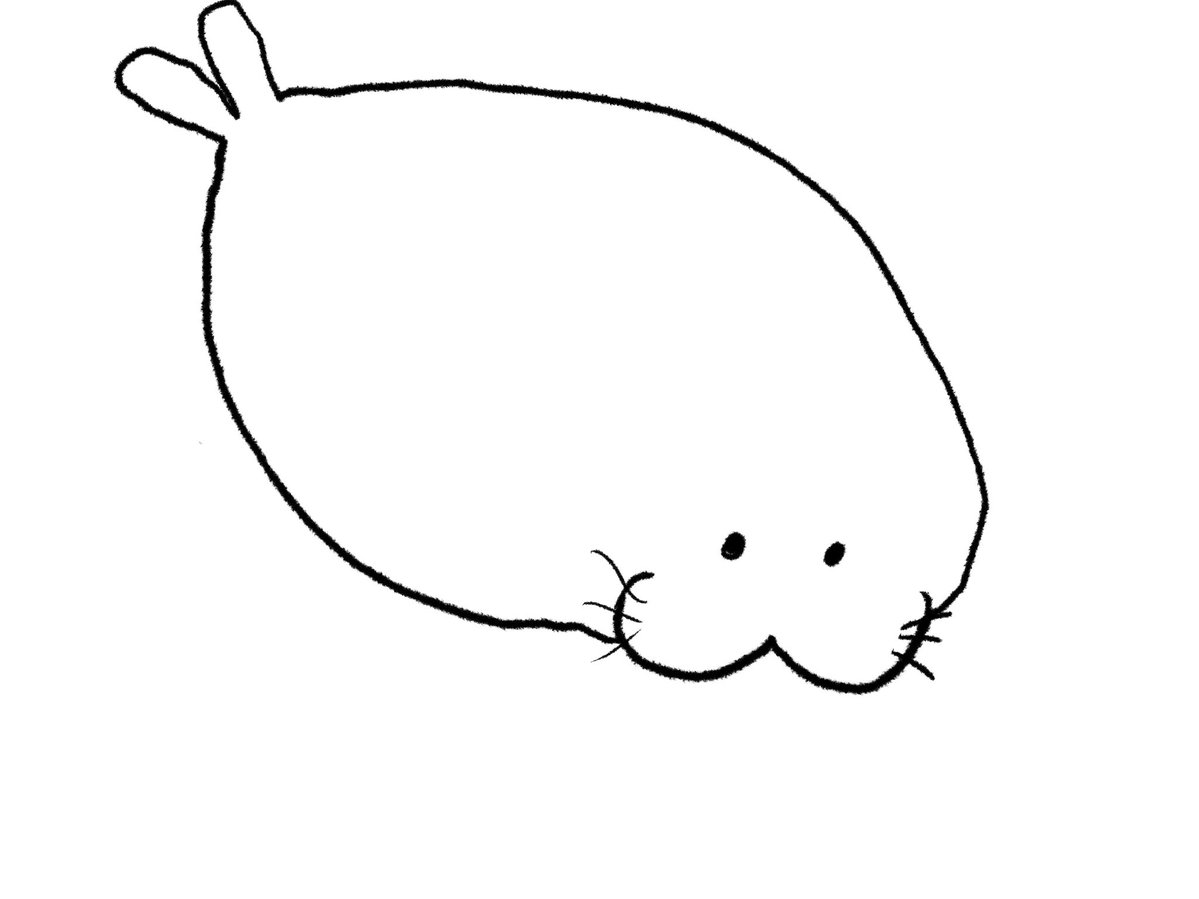 Joey drew this seal for me. everyone say thank you Joey