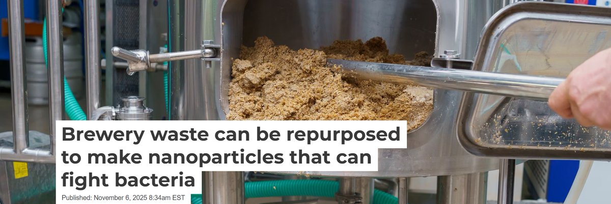 ChEnected's tweet image. #Nanoparticles made with brewery waste may fight #bacteria bit.ly/4oBF9SP