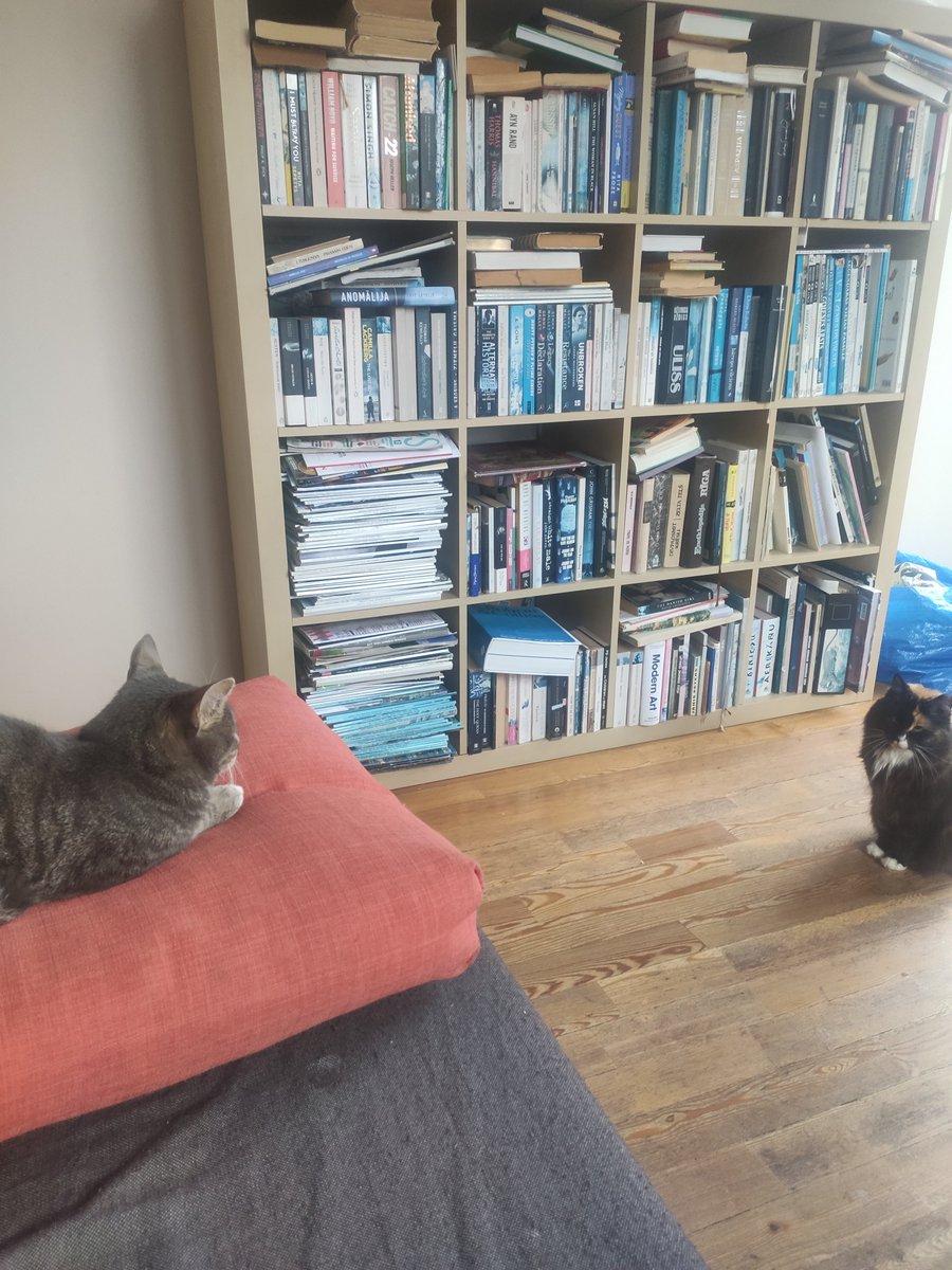 Apogs20's tweet image. One librarian is lazier than the other 🤨