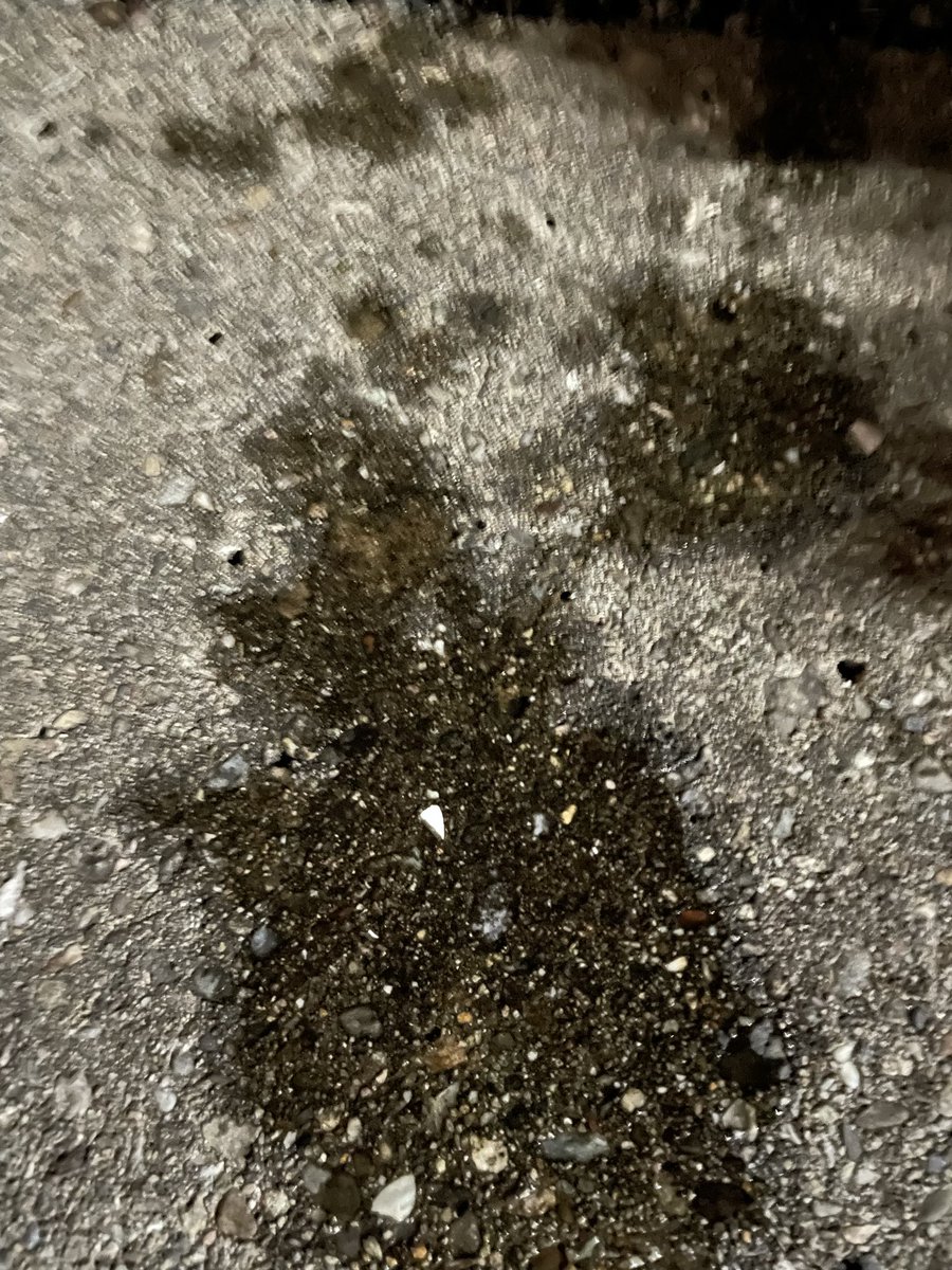 msk5769's tweet image. お外でいっぱい濡らしました💕#M女