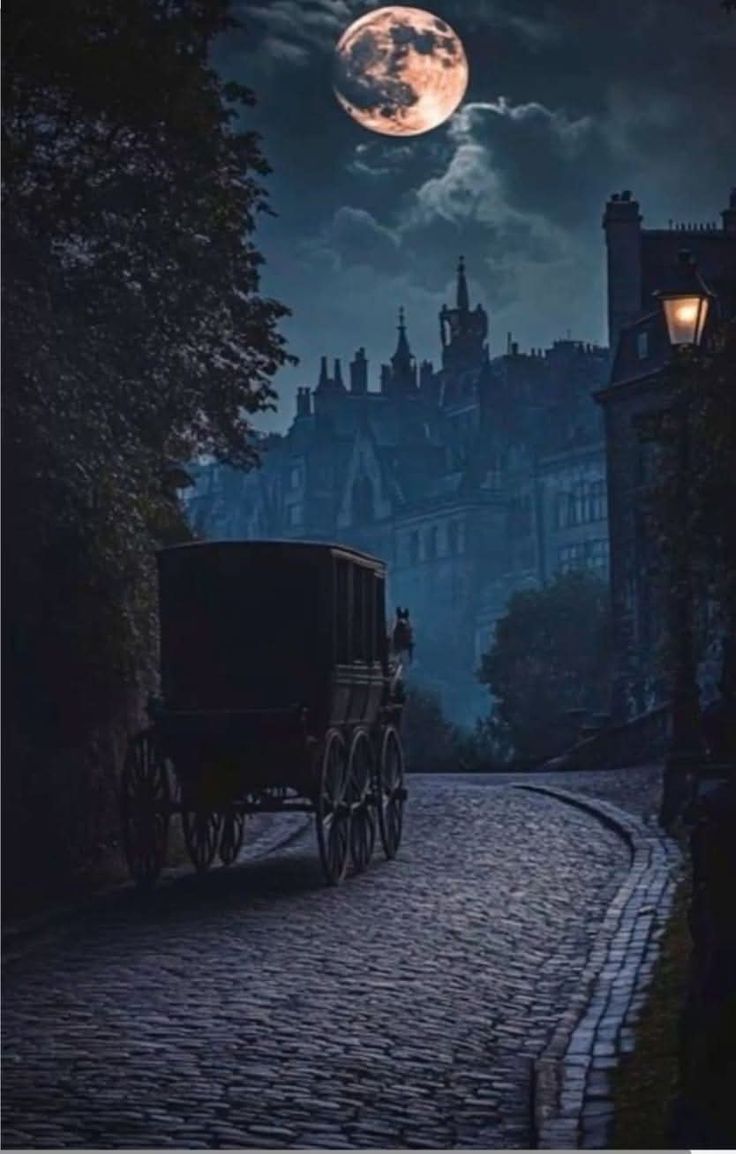 _mostlypat's tweet image. #Transport me 
to the era of 
crystals &amp;amp; moons 
carriages &amp;amp; lanterns 
where 
lighting candles was a ritual 
giving flowers was a norm
where time just slows 
between you &amp;amp; me .............. 💜

#vss365
#patstring
