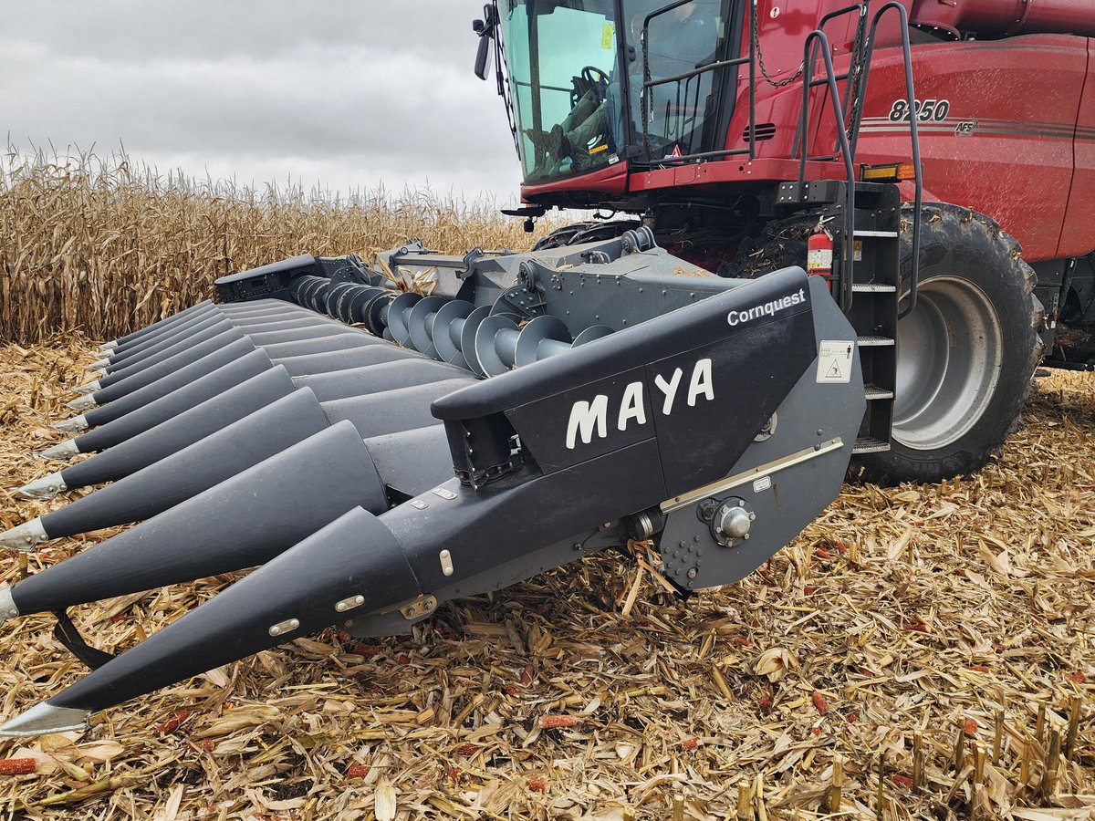 So we'll see if the Maya demo day today goes better than the Geringhoff day yesterday went...