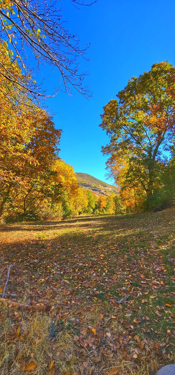 Oy yare,
Bizane ez beriya te dibim.
Hemû êş û bêzarî wekî barêkî giran
Li ser milên min dixwazin bêşin.
Ez dê fetisîm bin vê barê giran,
Heke çavên min te ne bibînin…
#Payîz #sonbahar #Şemdinli #HAKKARİ #Şemzîna Şapatan