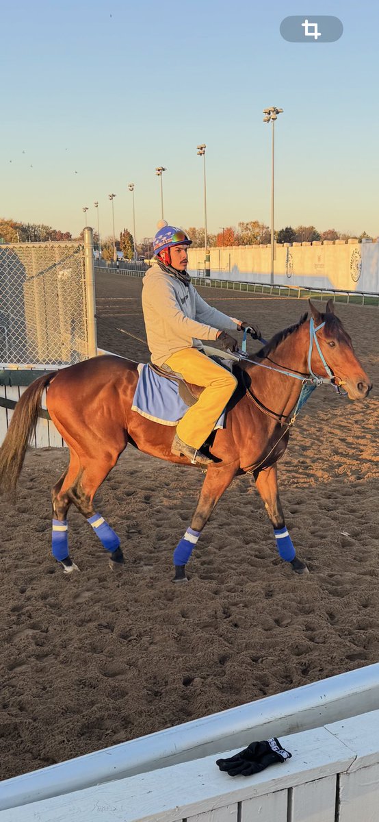 bigrigracing1's tweet photo. Right On is on 🔥🐎💰 https://t.co/TFZouKRtm7