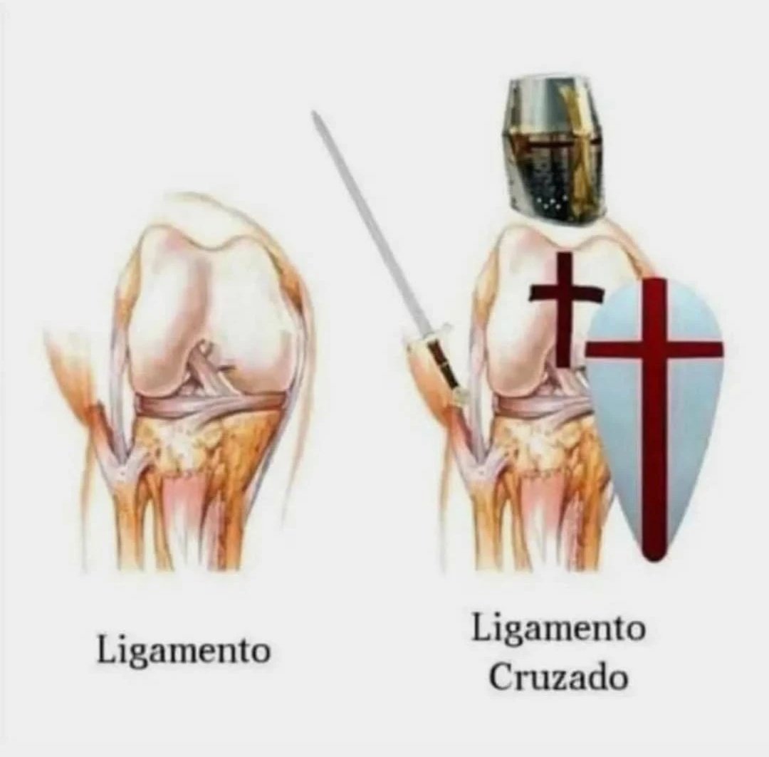 Ulises (@ulisesdavid__) on Twitter photo 