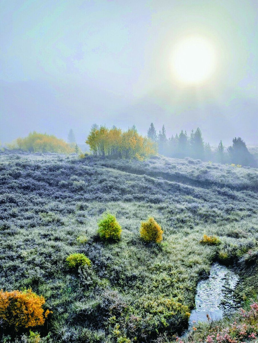 bozemag's tweet image. "Some experiences are so unique and so powerful that, quite naturally, they stay with you for a very long time." Wolves &amp;amp; Dreams: Faded Summer by Peter Brancaccio 

#bozeman #recreation #personalstories #wolves #griz #moose #montana #teepeecreek