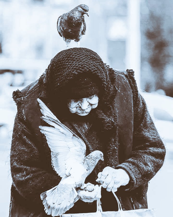 " كلّ القلوب يغيّرها الوقت، 
إلا قلبُ الأمّ جنّة دائمة...