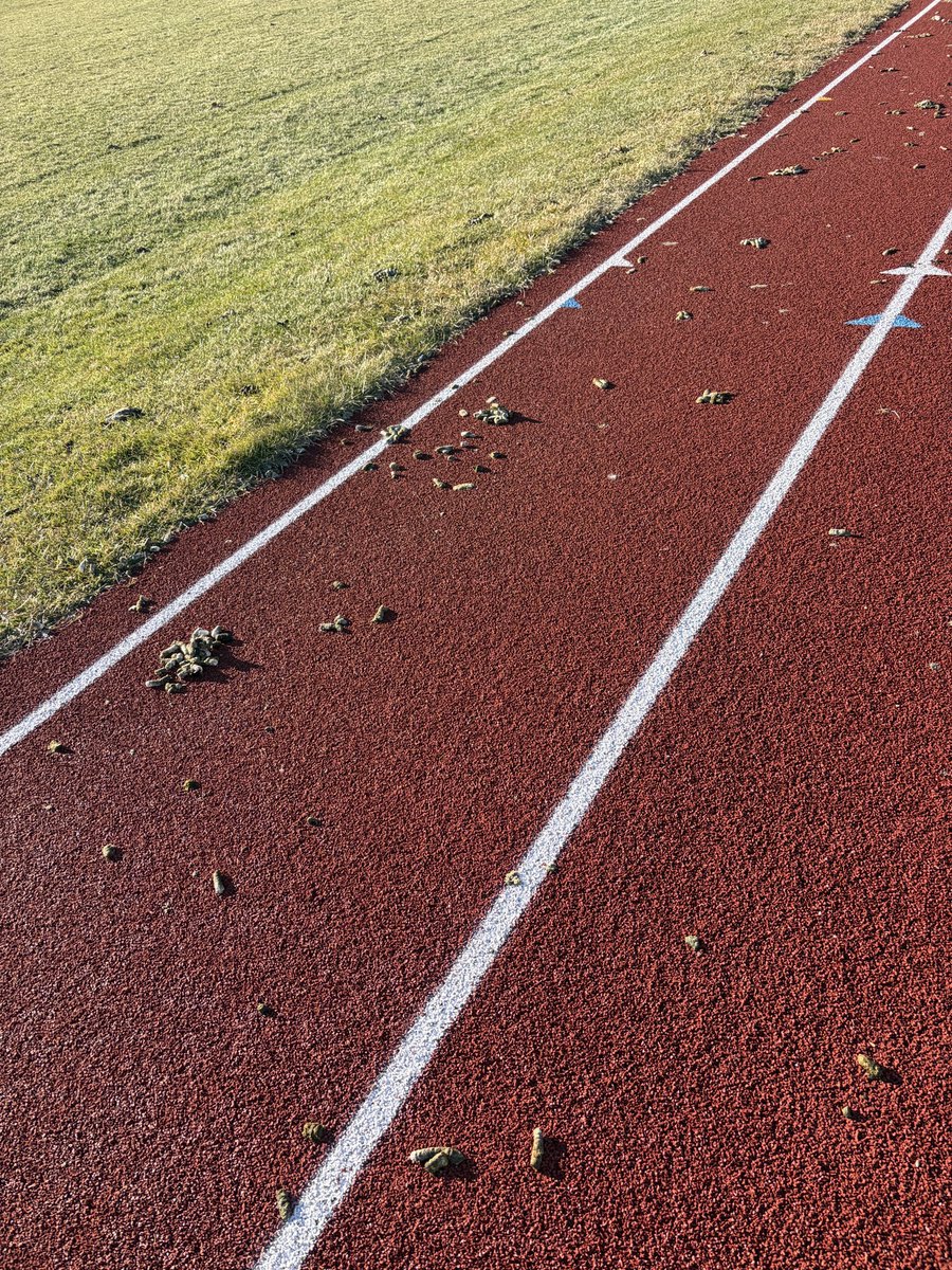 👁️ ❤️ my Winnipeg