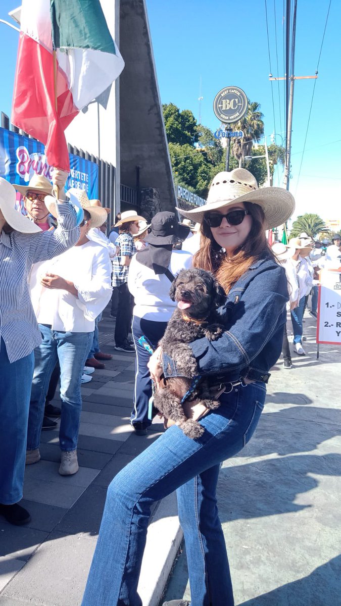 AndreaM05612909's tweet photo. Ya empezó en Guanajuato. 
Los esperamos Zócalo 
#GeneracionZ 
Carlos Manzo vive
#Uruapan
#Sombrero https://t.co/hnR0FMRkg3