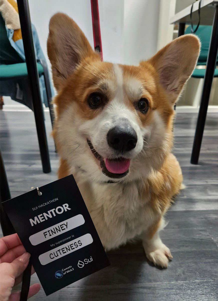 cometsofweb3_'s tweet image. Day 2 at the @SuiFoundation X @cometsofweb3_ Hackathon went by fast, focused, and full of progress, thanks to our mentors.

@DaianaM007 , @LaviniaIvas, @Sasha_Tanase, Andrei Samciuc, @GazdacAlex , @StatescuRazvan , Roberto Munteanu and Arnaud S. (@philogicae) spent the day…