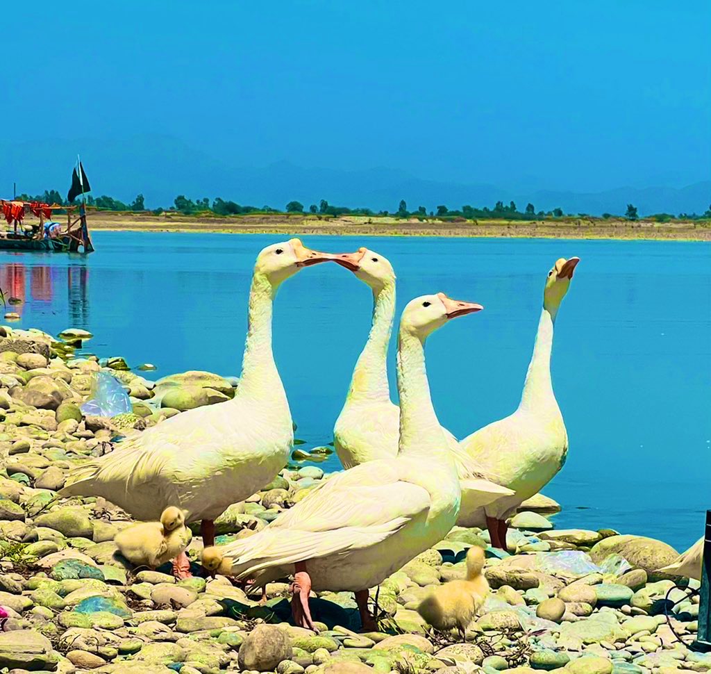 Aautoprivate's tweet image. Sometimes in life, we just need a hug... 
No words, no advice, just a hug… 

#Mik📸