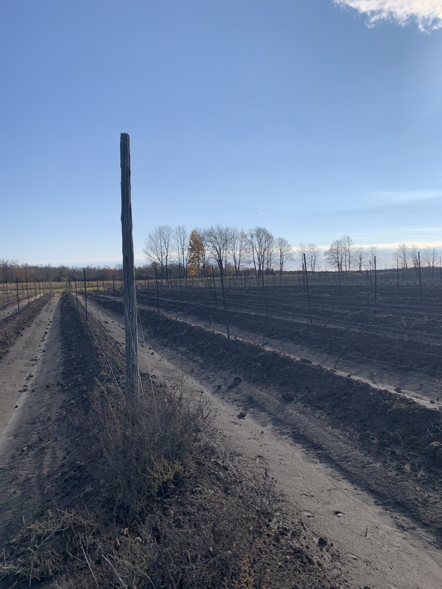 Vineyard put to rest for the season. Vines hilled up - time for all of us to hibernate….
Tasting Room hours Nov/Dec: 
Saturdays.  11am– 4:30pm
Fri &amp; Sun      12pm–4:30pm
Mon-Thurs by chance or appt. 
Pls call or email to book.