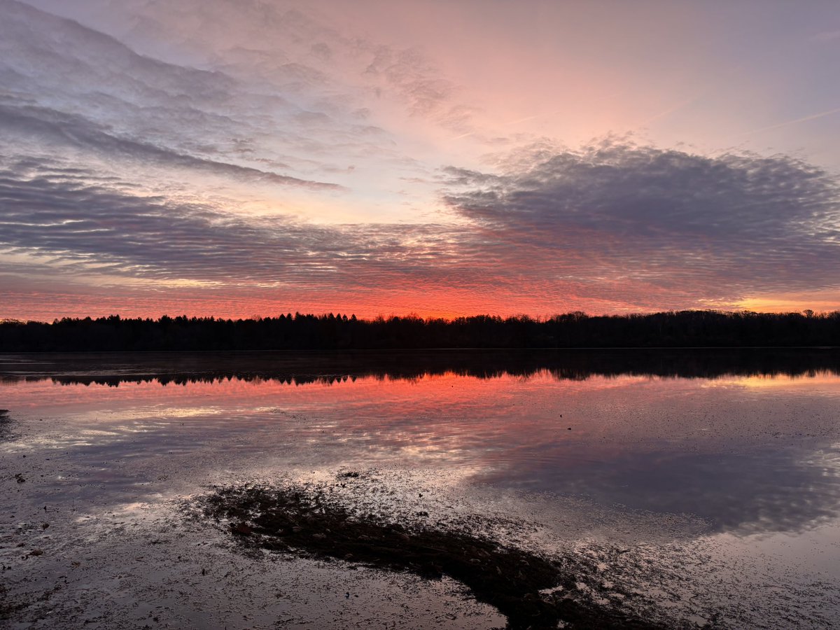 Steve Hailstone (K3SLH) tweet media